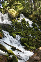 Clear Water 0558