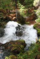 Clear Water 0562